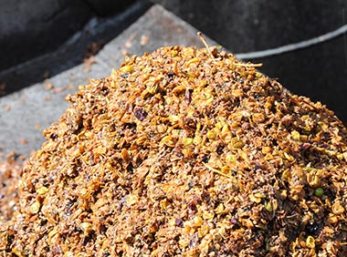Compost formé des peaux de raisin