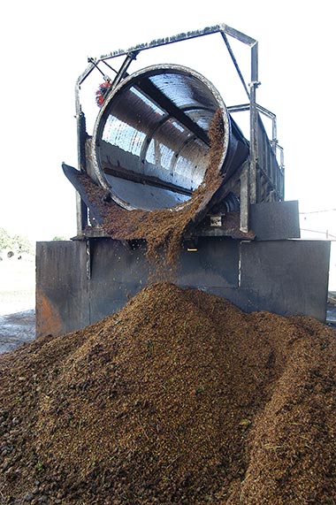 Les déchets lors de l'extration des pépins de raisin forment le compost