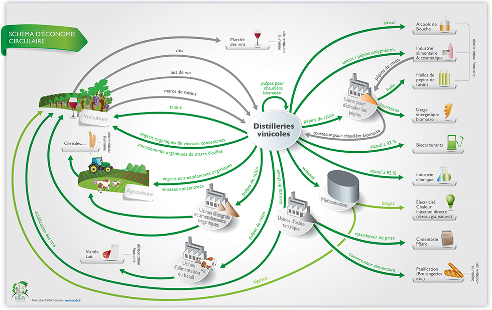 Circular economy